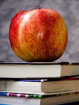 报复骗子轰炸神器